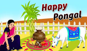 Pongal 2019 Date Time Muhurat Importance And Significance Of Sun God Festival India Com Make social videos in an instant: