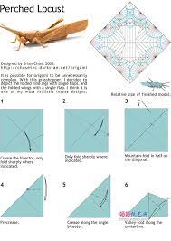 brianchan折纸蝗虫手工diy教程图解详细步骤1 origami diagrams origami insects origami paper art