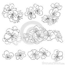Set Of Drawing Cherry Blossoms Cherry Blossom Drawing Flower Drawing Drawings