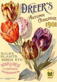 Old House Gardens Heirloom Flower Bulbs Vintage Seed Packets Flower Seeds Packets Flower Illustration