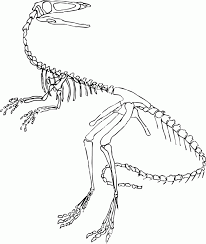 Fossil coloring page to color, print or download. Fossils Coloring Pages Coloring Home