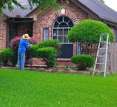 At top notch lawn care all our property care professionals take annual training courses to sharpen up their knowledge & skills. Pinnacle Lawn Care
