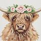 Cows and Cool Beans