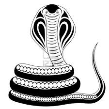 Black And White Snake Clipart Cute Abstract Cobra In The Form Of A Tattoo Drawing Wallpaper Rose Drawing Roses Drawing