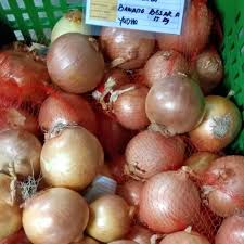 vlog ladang bawang holland | size besar tak sama di malaysia. Bawang Bombay Holland Bombai Onion Shopee Indonesia