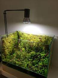 Pin En Naturaleza Viva
