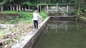 Riwayat Dan Cerita Mistis Kolam Renang Peninggalan Belanda Di Kota Bogor Tribunnews Com Mobile