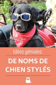 de 300 idees de noms de chien style pour male et femelle nom de chien nom de chien male chien