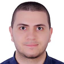 Mohamed Fekry Ashour