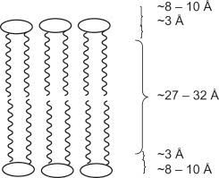 Transmembrane Protein An Overview Sciencedirect Topics