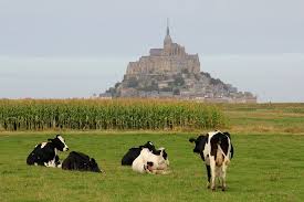 Maybe you would like to learn more about one of these? Mon Sen Mishel Franciya Podrobno O Zamke S Foto I Video