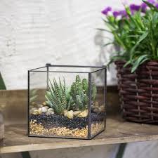 Ncyp Vintage Square Geometric Terrarium Tin Sealed Planter Etsy In 2020 Geometric Terrarium Small Potted Plants Plant Decor Indoor