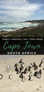 Top 5 Things To Do In Cape Town With Kids Africa Travel Family Travel Cape Town