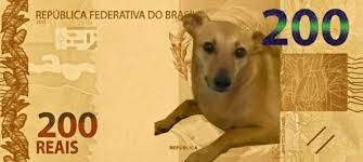 The Brazilian Caramel Stray Dog Is The Evolution Of Dog 9gag