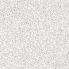 Voile De Verre 200 G M Lisse Et Prepeint 25 M Leroy Merlin