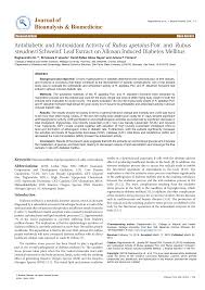 Image result for Rubus steudneri