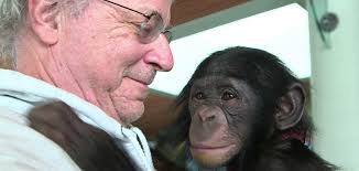 The Deja View Screening Club