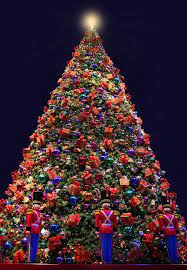 Oh Tannenbaum By Kristin Elmquist In 2021 Holiday Christmas Tree Christmas Lights Traditional Christmas Tree