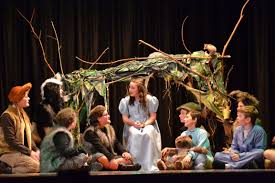Mcgee Middle School Production Of Peter Pan Jr The Lost Boys Hideout Peter Pan Broadway Peter Pan Musical Peter Pan Play