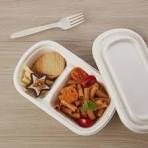 Sugarcane Bagasse Food Containers – Eco-Friendly ...