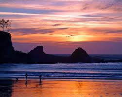 Whitefish dunes state park, sturgeon bay: Sunset Bay State Park Coos Bay Oregon Sportsmans News State Parks Coos Bay Oregon Fall Road Trip