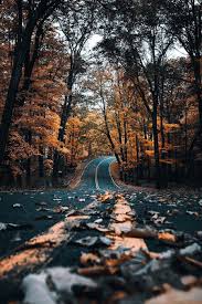 See more ideas about fall wallpaper, autumn aesthetic, fall desktop backgrounds. Cozy Hd Autumn Wallpapers Wallpaper Cave