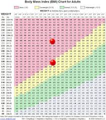 Healthy Goal Weight Chart Health Weigh Scale Chart Weight