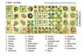 If you've always wanted to grow your own vegetable garden but have been turned off by the idea of spending countless the advantages of square foot gardening make it attractive for both novice gardeners and seasoned green thumbs alike. Pin On Gardening
