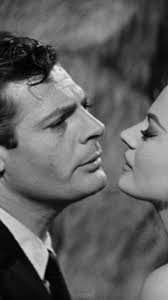 Franco Fellini Owner