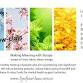 Seasonal Sew-cial: October 2025 event image