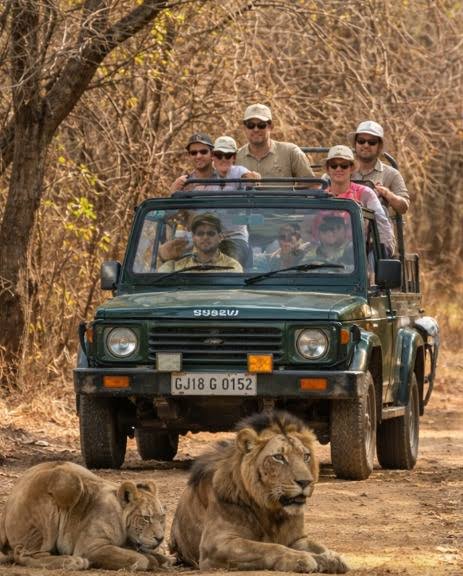 Gir National Park Image 2