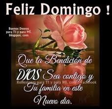 Feliz Domingo Que La Bendicion De Dios Sea Contigo Y Tu Familia En 2020 Feliz Domingo Bendiciones Feliz Y Bendecido Domingo Buenos Dias Feliz Domingo