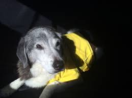 See 3 tips from 22 visitors to total pet care veterinary clinic and pet supplies. Total Pet Care Veterinary Clinic Edukasi News