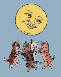 Cat Moon Tarot Card Women S Short Sleeve T Shirt Art Collage Wall Cute Art Psychedelic Art