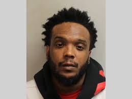 LCSO Daily Booking Report