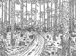 The book has pages on the lion, zebra, ostrich, rhino, elephant. Trees Logging Rainforest Coloring Page Download Print Online Coloring Pages For Free Tree Coloring Page Online Coloring Pages Zoo Coloring Pages