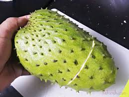 Dengan gula nano & tanpa pengawet. Jus Durian Belanda Asli Banyak Khasiat Kena Minum Setaip Hari Maha Mahu Makan