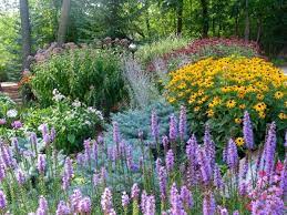 Full sun perennial flowers require at least six to eight hours of direct sunlight daily. Full Sun Perennials Hgtv