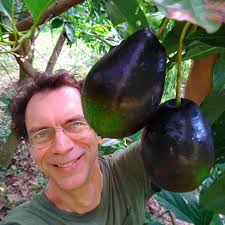 Image result for Dark Avocado 1983 Fedders
