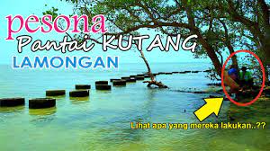 Tiket masuk pantai cemara sewu. Wisata Pantai Kutang Labuhan Lamongan Tempe Channel Jatim Explore Youtube