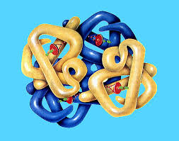 Resultado de imagen para proteinas estructuras