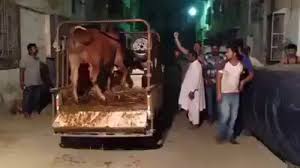 Camel ran away after qurbani/dangerous camel/anari qasai/out of control camel/camel qurbani karachi. Qurbani Cow Run Away Nizam Tv Video Dailymotion