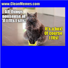 All the images collection is unique and special. Pin By Clean Memes On Clean Memes Cat Memes Clean Cat Memes Cats