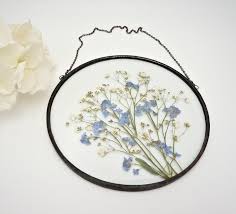 Entdecke etwas, das dich begeistert. Pressed Flower Frame White Gypsophila Blue Forget Me Not Small Etsy