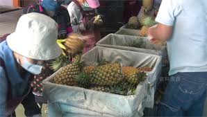 臺北市(a) 臺中市(b) 基隆市(c) 臺南市(d) 高雄市(e) 臺北縣(f) 宜蘭縣(g) 桃園縣(h) 新竹縣(j) 苗栗縣(k) 臺中縣(l) 南投縣(m) 彰化縣(n) 雲林縣(p) 嘉義縣(q) 臺南縣(. Ettm1byf4rxqam