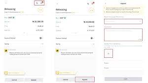 All You Need To Know About The Binance P2p Appeals Process Binance Blog