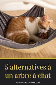 5 Alternatives A Un Arbre A Chat Arbre A Chats Com Hamac Chat Arbre A Chat Griffoir Chat