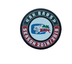 Хоккейный клуб ак барс, казань (kazan, tatarstan). Kupit Shajba Hockey Odnostoronnyaya Cvetnaya V Upakovke 2 Ak Bars Po Nizkoj Cene S Dostavkoj Iz Yandeks Marketa