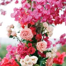 Check spelling or type a new query. 8 Indian Flowers Wedding Wire Article Embedded On Thursd