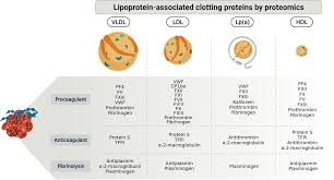 Clot or Not? Reviewing the Reciprocal Regulation Between Lipids and Blood  Clotting | Arteriosclerosis, Thrombosis, and Vascular Biology